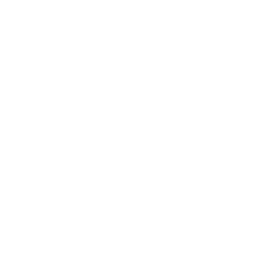 Anthropic